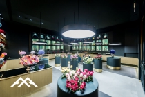 ArchQA Designs Only Roses